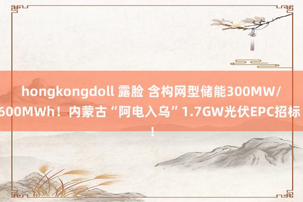 hongkongdoll 露脸 含构网型储能300MW/600MWh！内蒙古“阿电入乌”1.7GW光伏EPC招标！