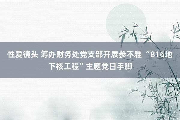 性爱镜头 筹办财务处党支部开展参不雅 “816地下核工程”主题党日手脚
