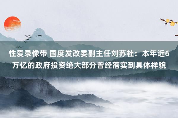 性爱录像带 国度发改委副主任刘苏社：本年近6万亿的政府投资绝大部分曾经落实到具体样貌