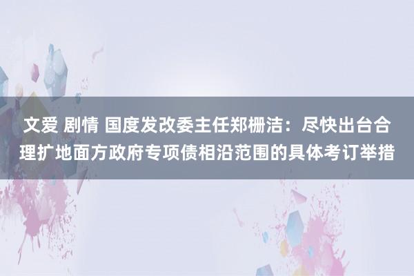 文爱 剧情 国度发改委主任郑栅洁：尽快出台合理扩地面方政府专项债相沿范围的具体考订举措